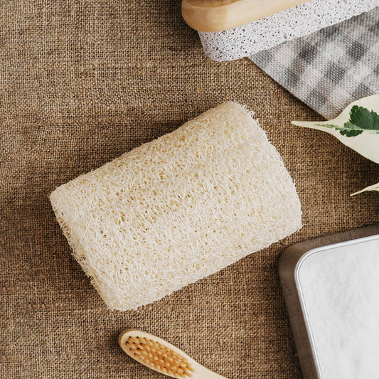 EcoHarvest Sun-Dried Natural Loofah Sponge from Malaysia