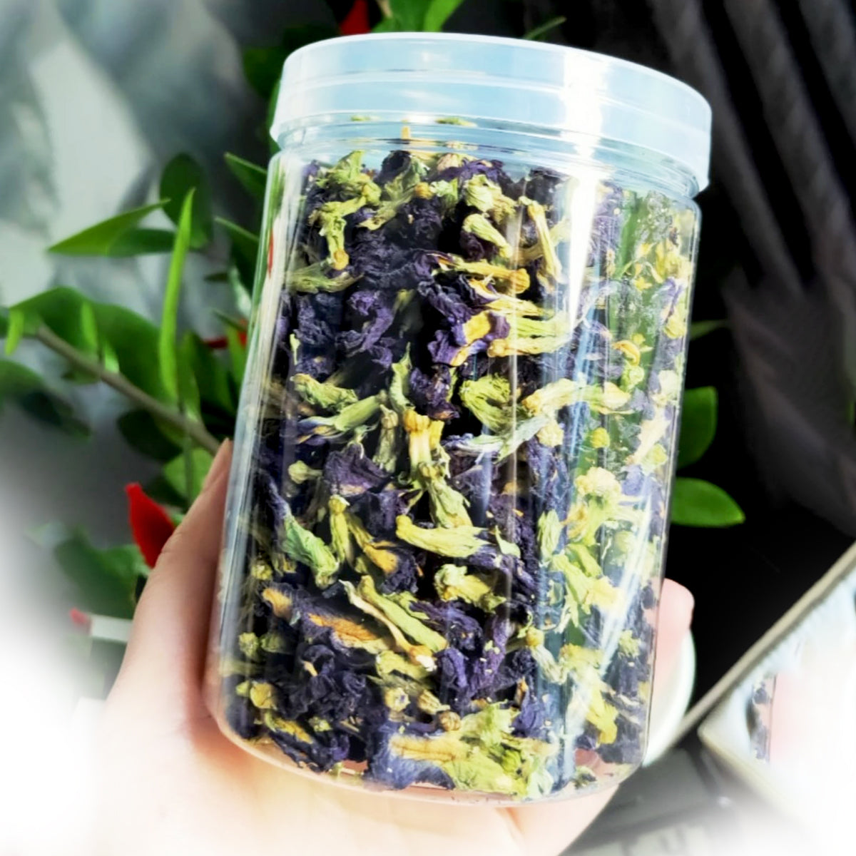 Malaysia Butterfly BluePea Flower - Naturally Sun-Dried Elegance (50G)