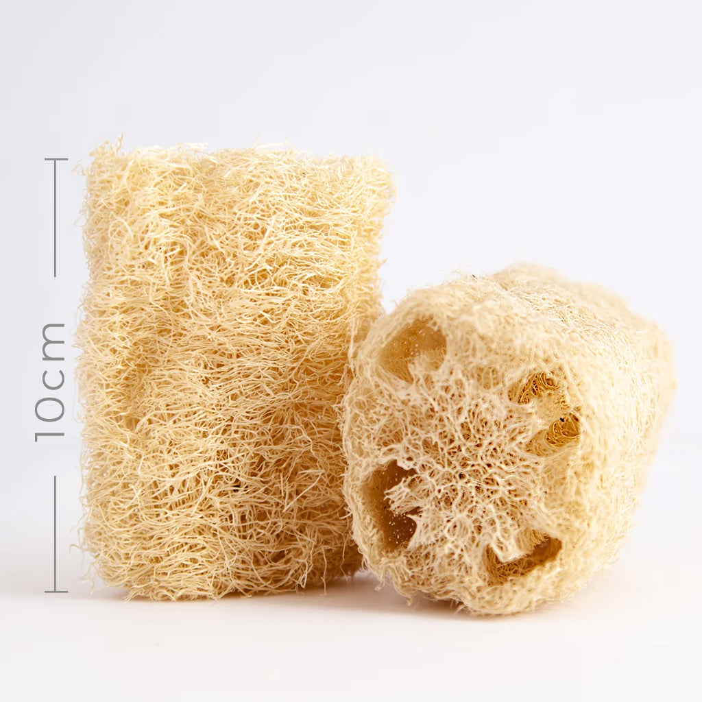 EcoHarvest Sun-Dried Natural Loofah Sponge from Malaysia